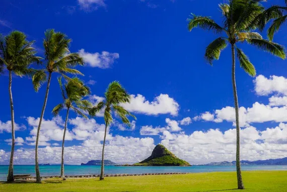 Chinaman's Hat (Mokoli'i)